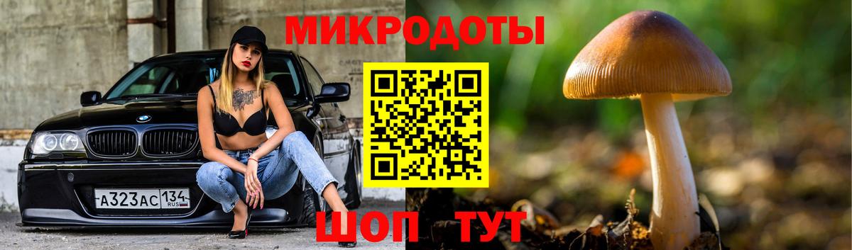 Галлюциногенные грибы GOLDEN TEACHER Тутаев
