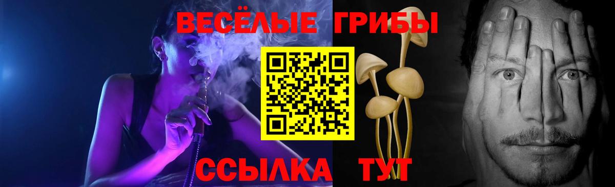 Псилоцибиновые грибы Psilocybe  Вход с VPN  как найти закладки  Тутаев 